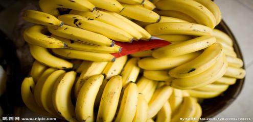 香蕉片烘干工艺